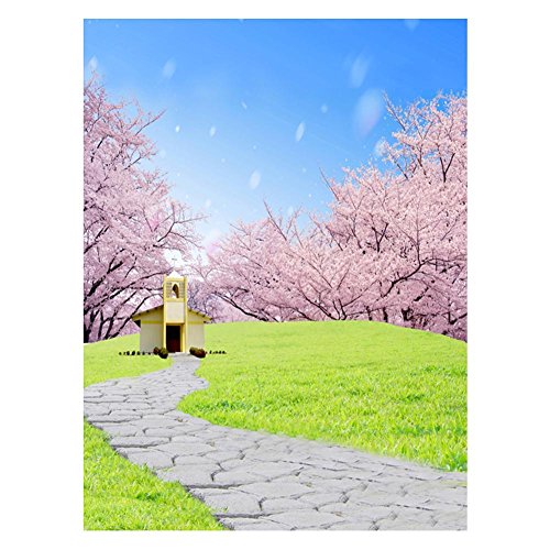 Preisvergleich Produktbild prettygood7 Fotohintergrund mit Blumen und Galerie