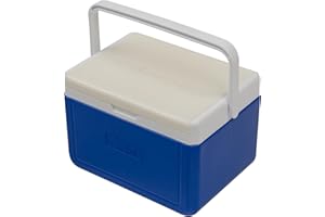 Andes 5L Cool Box Lunch Box for Food and Drinks, Fits 6 x 330ml Cans, Small Lightweight Cooler for Picnics or Work, 9 Hours Performance Time, Blue/White