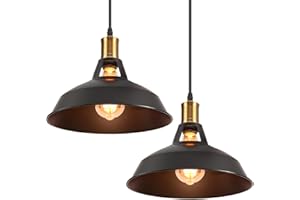 iDEGU Lot de 2 Suspension Luminaire Industrielle, 27CM Rétro Lustre Plafonnier en Métal E27 Éclairage de Plafond Vintage Lampe Suspension pour Cuisine Salon Salle à Manger Corridor Restaurant (Noir)