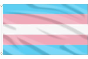 AhfuLife Grande Drapeau Arc-en-ciel, Drapeau LGBT Double Face avec œillets en Laiton en Polyester pour Pride day Marches Bar Masion Jardin Décor (Transgenre Rainbow, 1 Pcs)