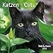 Katzen - T & C-Kalender 2012 by 