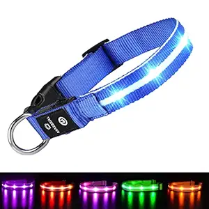 MASBRILL LED Dog Collar-USB Rechargeable Light Collar- Safety Collar for Small Medium Large Dogs (M(19.690.98inch), Blue)