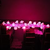Lerway 20 LED Rosen Lichterkette Batteriebetrieben Innen Im Freien Beleuchtung für Garten Rasen Bar Verein Hochzeit Valentinstag Weihnachten (Rosa) - 3