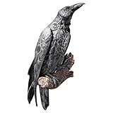 Design Toscano Des Raben Stange, Wandfigur