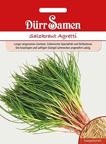 Salzkraut Agretti Salsola sola, ca. 200 Samen