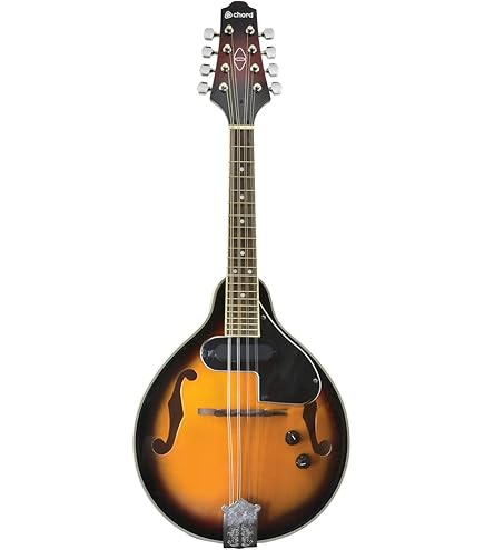 Blue Moon BM-07 Mandolin : Amazon.co.uk: Musical Instruments & DJ