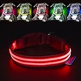 pawow USB aufladbare LED Hundehalsband Sicherheit Halsband Doppel-Streifen–Ihren Hund gesehen und sichere