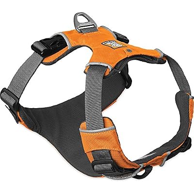 Ruffwear Front Range Harnais pour Chien Feu de Camp Orange M