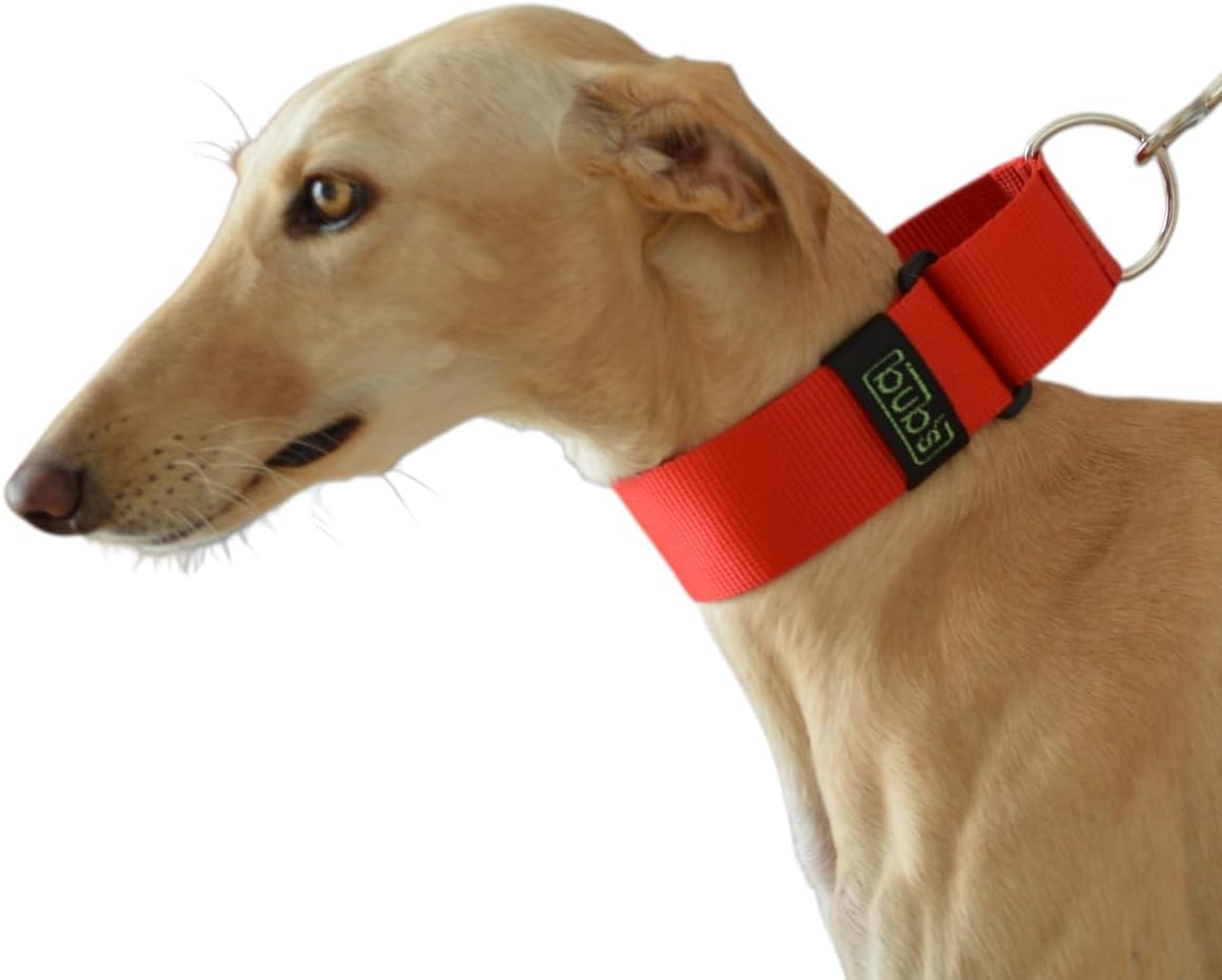 Test Complet & Analyse de Fiabilité : bub s Collar Martingale - Collar para Perro a