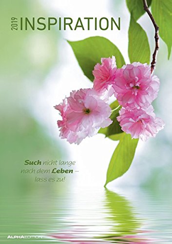 Inspiration 2019 - Bildkalender A3 - Motivationskalender mit Sprüchen - Meditationskalender
