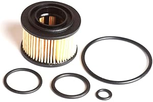 LPG-MEGASTORE Inserto per filtro del gas BRC, tipo 1, incluso set di guarnizioni per impianti GPL