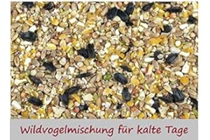 KAMPOL Vogelfutter Fuer unsere Wildvoegel auch für kalte Tage 10 kg