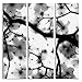 Produktbild JP London 3 Panels bei 16 in von 48 in ltcnv1 X 638660 JPL und Sarah Wright Geschenk Cornus Xray Poppy Ast schwarz Triptychon 3 große insgesamt Schwerer Galerie Wrap Leinwand, extra groß