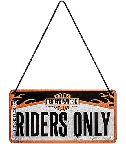 Plaque tôle emboutie décorative 20X30 cm. Collection Harley-Davidson