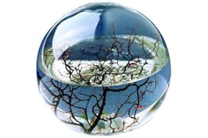 Ecosphere Kugel 10 cm - Mini Aquarium