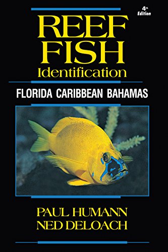 Télécharger Reef Fish Identification: Florida Caribbean Bahamas Gratuit