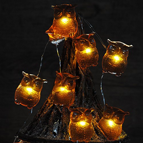 Preisvergleich Produktbild IMPRESS LIFE LED Lichterketten Weihnachten, Große 10Ft 40 LEDs Eule Batteriebetriebene Festbeleuchtung für Indoor, Geschützer Außenbereich Thanksgiving Erntedankfest Chirstmas Partys (Große Eule)