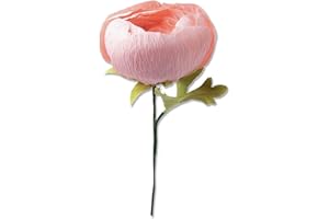 Sizzix 664925 - Juego de Troquel Thinlits 5PK Ranunculus by Olivia Rose