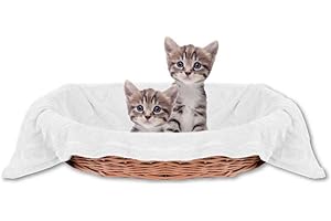 Bestlivings Couverture douillette pour animal de compagnie - Agréable et super douce - Disponible dans de nombreux coloris (60 x 80 cm) - Blanc - Crème