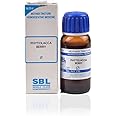 SBL Homeopathy Phytolacca Berry Mother Tincture Q (30 ML) by Qualityexport