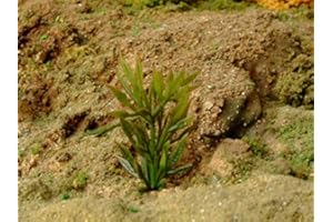 KREA MODELLISMO Piante sempreverdi in Foglie per plastico o Diorama 1/35 Pz. 5 - Krea 108