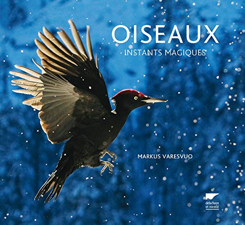 Télécharger Oiseaux. Instants magiques Livre eBook France