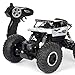 Produktbild happy event Geländewagen RC Klettern Auto 1/18 2,4G 4WD 15 KM/h Legierung High Speed Monster Truck LKW Spielzeug Für Kinder und Erwachsene (Silber)