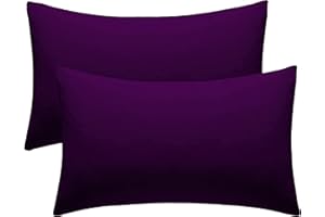ML MASSARI LIMITED Purple Pillow Cases 2 Pack Hotel Quality Microfiber Pillowcases Covers (Purple, 2 x Pillow Cases)