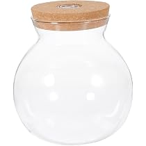 PYEF CRAFTS Terrarium Set Größe M - Flaschengarte Produktbild-Vorschau 5
