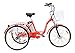 Produktbild Jorvik 20 Aluminium leicht Elektro Dreirad Petite Erwachsene Trike 250 W/36 V erhältlich in verschiedenen Farben, rot