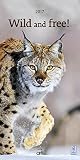 Wild and free 2017 - Tierkalender, Natur, Wildnis, Wandkalender - 24 x 48 cm by 