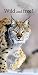 Wild and free 2017 - Tierkalender, Natur, Wildnis, Wandkalender - 24 x 48 cm by 