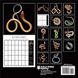 Image de Serpentine 2015 Wall Calendar