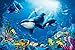 Produktbild 1art1 54697 Unterwasserwelt - Orkas, Lebensfreude 8-Teilig Fototapete Poster-Tapete 368 x 254 cm