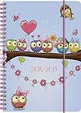 Kalendarium: Juli 2018 bis Dezember 2019, 2 Seiten = 1 Woche , 208 Seiten