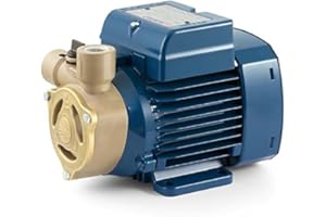 Electric Water Pump with peripheral impeller PQAm 60 0,5Hp 240V Pedrollo