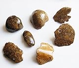 Jedes Stück ist einzigartig und kann leicht von der Abbildung abweichen.