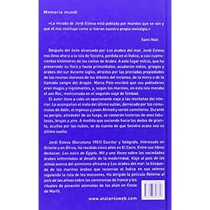 Socrota. La isla de los genios