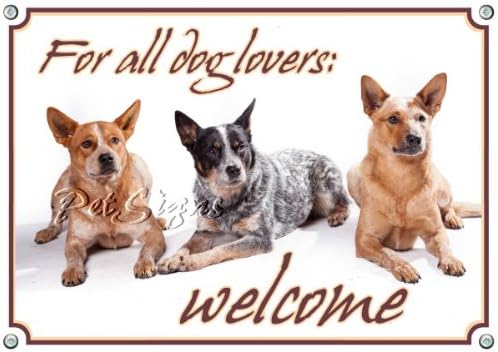 Dogsigns Cattle Dog - Welcome, DIN A3