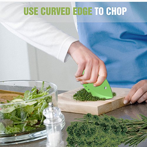 Nuovoware Kräuterentferner Blatt Stripper, [2 Stücken] Kohl, Zuckerrüben, Grünkohl und Kraut Scheider mit verschiedenen Größen Löcher und Plastik Schermesser, Beste Gemüse Küchenhelfer, Grün - 5