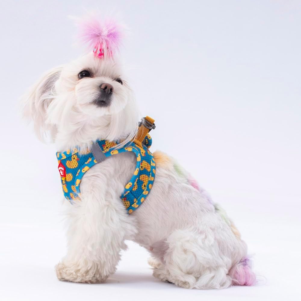 Pawstar Air-Mesh Poodle Köpek Göğüs Tasması (S) - Görsel 5