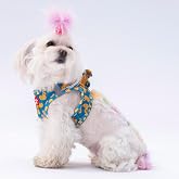 Pawstar Air-Mesh Ducks K&ouml;pek G&ouml;ğ&uuml;s Tasması (M)