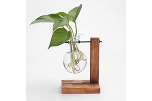 FIORKY Glass Planter Bulb Vase, Desktop Air Plant Terrarium Kit with Retro Solid Wooden Stand, Plant Propagation Stations Terrarium for Indoor Water Plants Home Garden Office Decoration Accessories