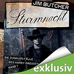Sturmnacht (Die dunklen Fälle des Harry Dresden 1)