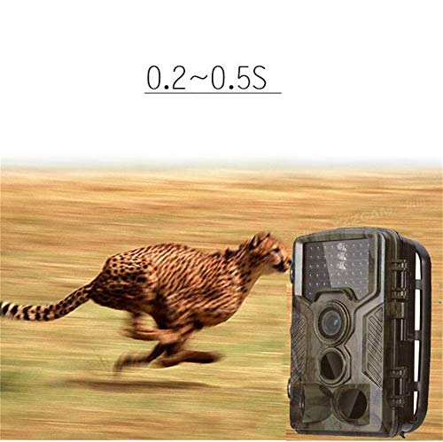 Preisvergleich Produktbild DWXJ Wildkamera Nachtsicht,H881 Infrarotüberwachung Automatisches FotografierenNachtsicht-Gebirgswaldte... Hinterkamera Trail-Kamera