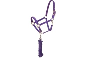 Tough 1 Licol rembourré en néoprène avec matériel Antique