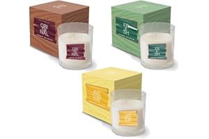 Candela cera vegetale vegana in bicchiere con astuccio Odor Block - Original- Cereria di Giorgio