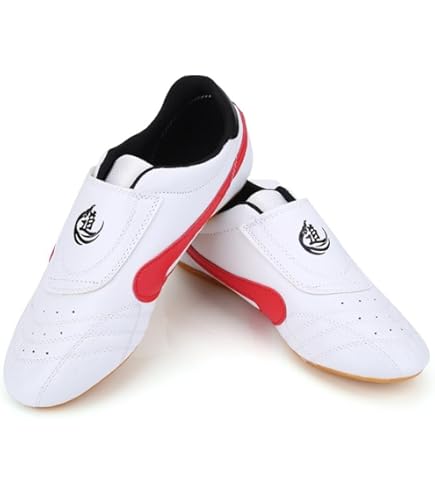 Kung Fu Shoes Dilwe Taekwondo Shoes, Kung Fu Taekwondo Indoor Mat