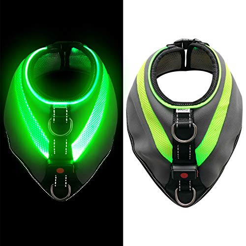 PetSol Ultra Bright LED Dog Harness Coat USB Rechargeable Lithium Battery. Warmth & Protection During Winter. Extra Visibility & Safety (Large)