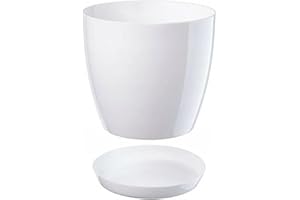 B2C Plant Pot Flower 20 Colours 9 sizes Gloss Plastic Plant Pots Planter Saucer Tray Deco (28 cm/ 11 inch, White)